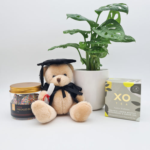 Graduation Congratulations - Plants Gift Hamper - Sydney Only