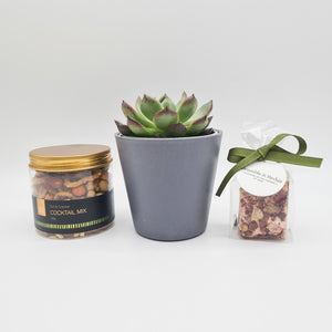 Thank You So Much - Succulent Gift Box