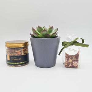 Thank You So Much - Succulent Gift Box