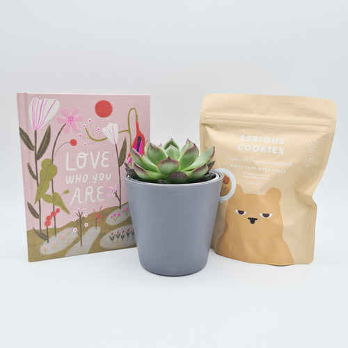 Love You - Succulent Gift Box