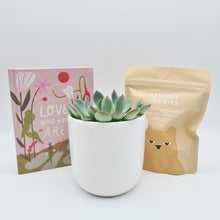Load image into Gallery viewer, Love You - Succulent Gift Hamper - Sydney Only
