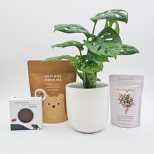 Load image into Gallery viewer, Loving You - Plant Gift Hamper - Sydney Only
