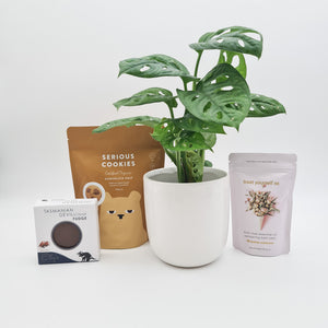 Loving You - Plant Gift Hamper - Sydney Only