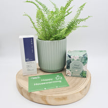 Load image into Gallery viewer, Sage Housewarming Plant Gift Hamper - Sydney Only
