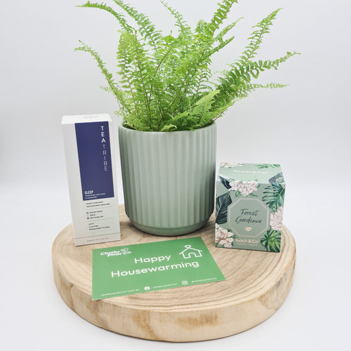 Sage Housewarming Plant Gift Hamper - Sydney Only