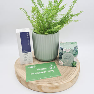 Sage Housewarming Plant Gift Hamper - Sydney Only
