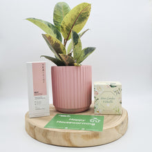 Load image into Gallery viewer, Pink Housewarming Plant Gift Hamper - Sydney Only
