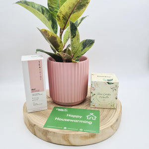 Pink Housewarming Plant Gift Hamper - Sydney Only