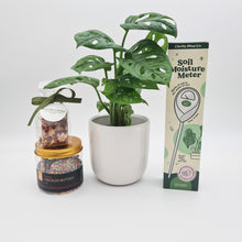 Load image into Gallery viewer, Happy Housewarming Plant Gift Hamper - Sydney Only
