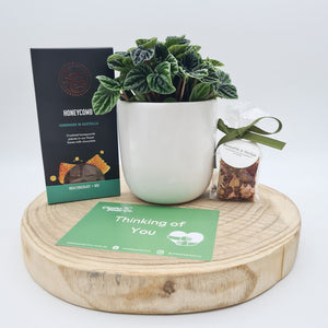 Comforting Condolence - Plant Gift Hamper - Sydney Only