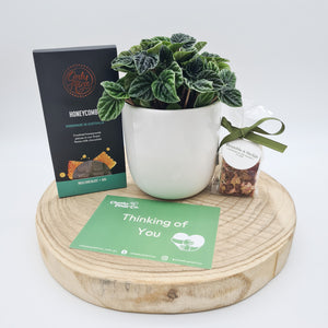 Comforting Condolence - Plant Gift Hamper - Sydney Only