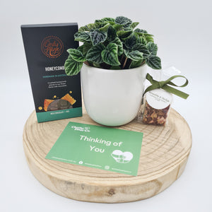Comforting Condolence - Plant Gift Hamper - Sydney Only