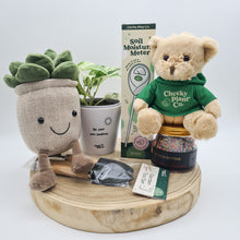 Load image into Gallery viewer, Sunshine Plant Lover Gift Hamper - Sydney Only
