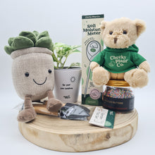 Load image into Gallery viewer, Sunshine Plant Lover Gift Hamper - Sydney Only

