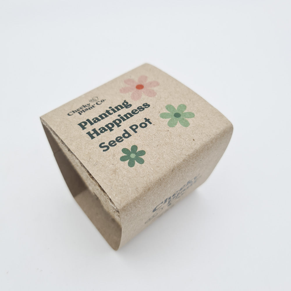 Flower Seed Growing Kit - Cheeky Plant Co.