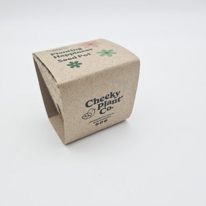 Flower Seed Growing Kit - Cheeky Plant Co.