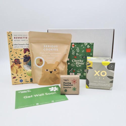 Get Well Soon - Flower Seed Growing Kit Gift Box