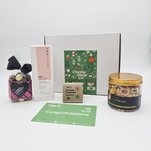 Congratulations - Flower Seed Growing Kit Gift Box