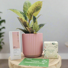 Load image into Gallery viewer, Pink Housewarming Plant Gift Hamper - Sydney Only
