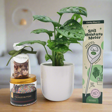 Load image into Gallery viewer, Happy Housewarming Plant Gift Hamper - Sydney Only
