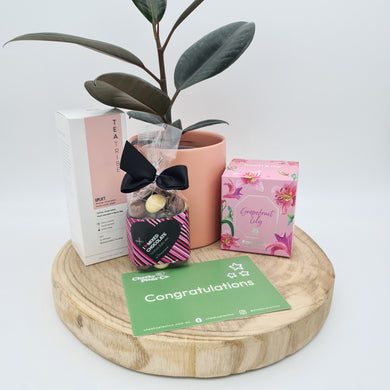 Congratulations Baby Plant Gift Hamper - Sydney Only