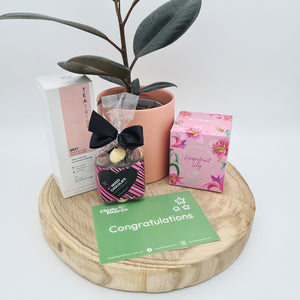 Congratulations Baby Plant Gift Hamper - Sydney Only