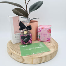 Load image into Gallery viewer, Congratulations Baby Plant Gift Hamper - Sydney Only
