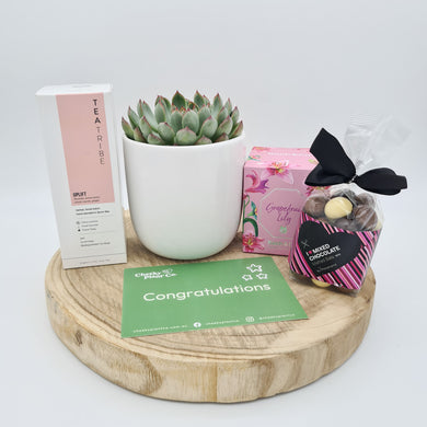 Wedding / Engagement - Succulent Gift Hamper - Sydney Only