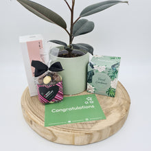 Load image into Gallery viewer, Congrats on Your Baby - Plant Gift Hamper - Sydney Only
