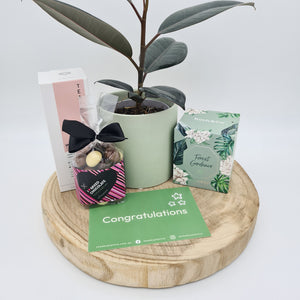 Congrats on Your Baby - Plant Gift Hamper - Sydney Only