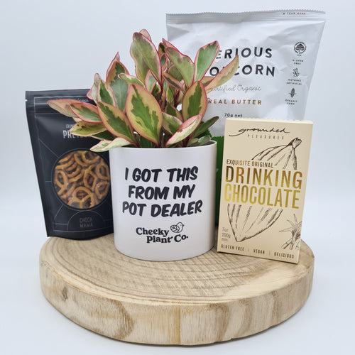 I Got This - Treat Yourself Plant Gift Hamper - Sydney Only
