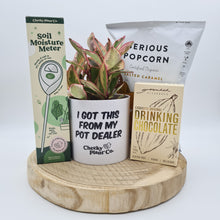 Load image into Gallery viewer, I Got This - Plant Gift Hamper - Sydney Only
