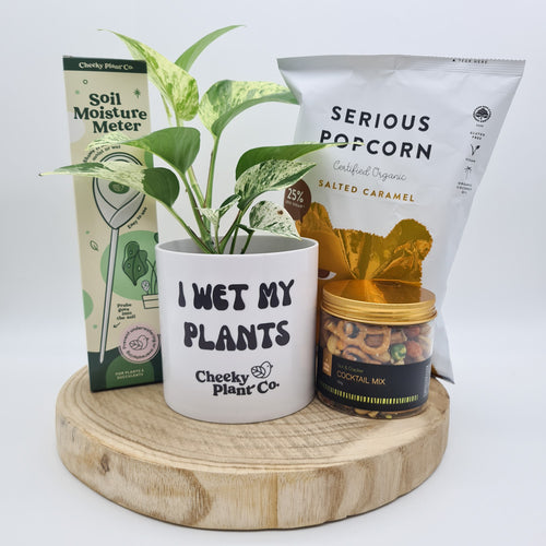 I Wet My Plants - Plant Gift Hamper - Sydney Only