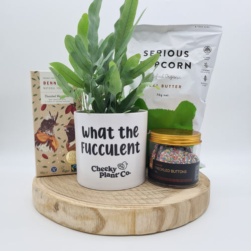 What The Fucculent - Treat Yourself Plant Gift Hamper - Sydney Only