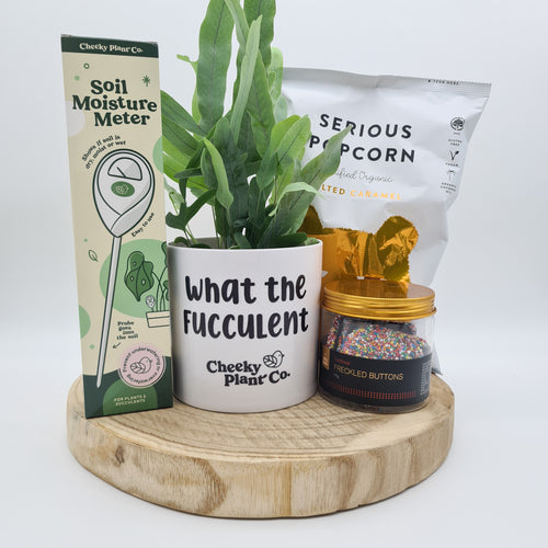 What The Fucculent - Plant Gift Hamper - Sydney Only
