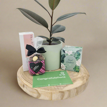 Load image into Gallery viewer, Congrats on Your Baby - Plant Gift Hamper - Sydney Only
