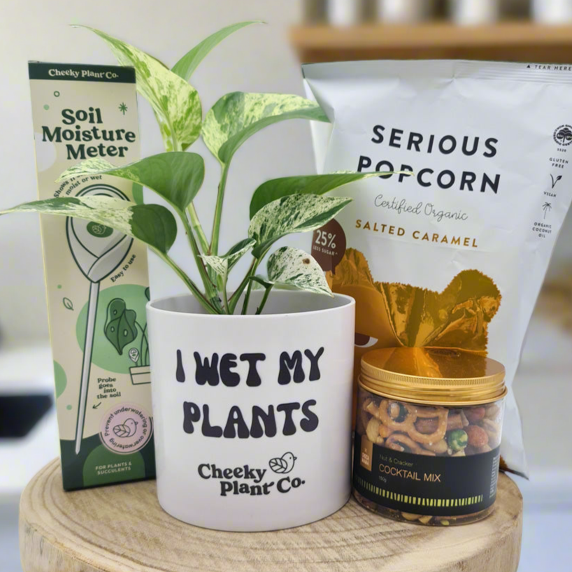 succulent lovers quotes I Wet My Plants - Plant Hamper