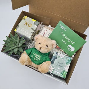 Thinking of You - Succulent Hamper / Succulent Gift Box