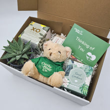 Load image into Gallery viewer, Thinking of You - Succulent Hamper / Succulent Gift Box
