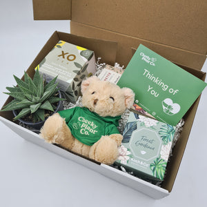 Thinking of You - Succulent Hamper / Succulent Gift Box