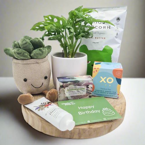 Best Birthday - Assorted Plant Gift Hamper - Sydney Only