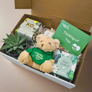thinking of you succulent Thinking of You Hamper Succulent Gift
