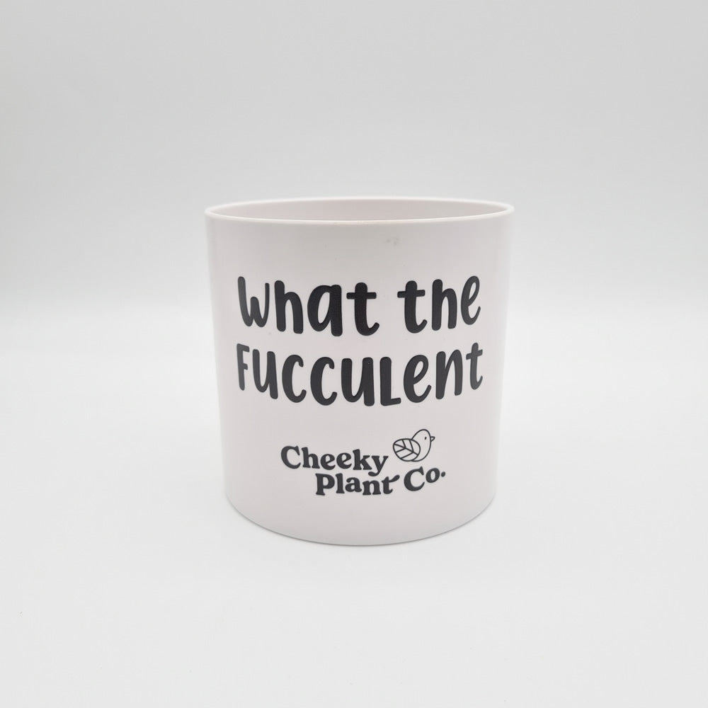 What the Fucculent - Cheeky Plant Co. Pot - 12.5cmD x 12cmH