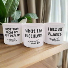 Load image into Gallery viewer, Trio Pack - Funny - Cheeky Plant Co. Pots - 12.5cmD x 12cmH
