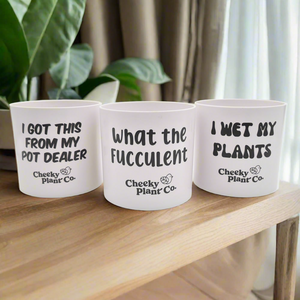 Trio Pack - Funny - Cheeky Plant Co. Pots - 12.5cmD x 12cmH