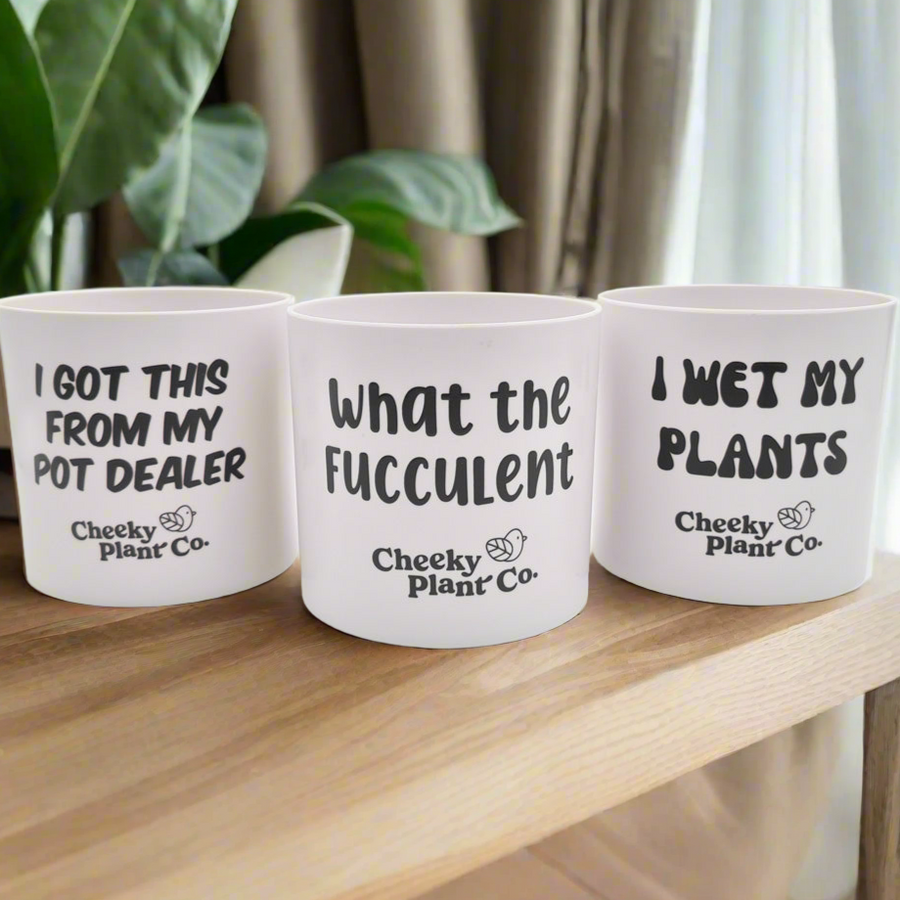 Trio Pack - Funny - Cheeky Plant Co. Pots - 12.5cmD x 12cmH