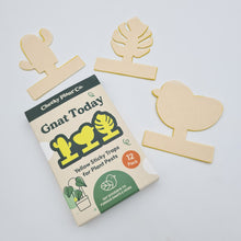 Load image into Gallery viewer, Gnat Today - Fungus Gnat Traps (Pack of 12) - Cheeky Plant Co.
