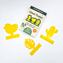 Load image into Gallery viewer, Gnat Today - Fungus Gnat Traps (Pack of 12) - Cheeky Plant Co.
