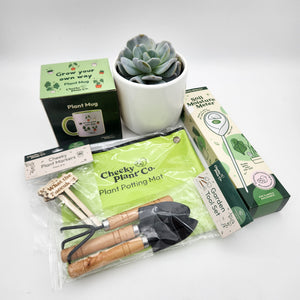 Succulent Plant Parent Starter Pack - Sydney Only