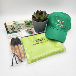 Succulent Beginner Pack Gift Box